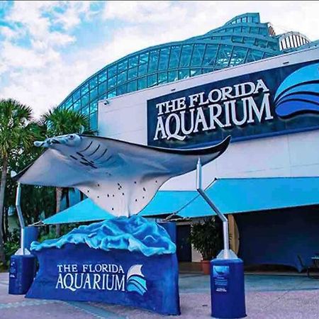 Minutes To Fairgrounds, Hard Rock, & Busch Gardens Villa Tampa Exterior photo